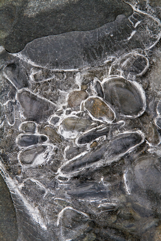 River Rocks Encased In Ice